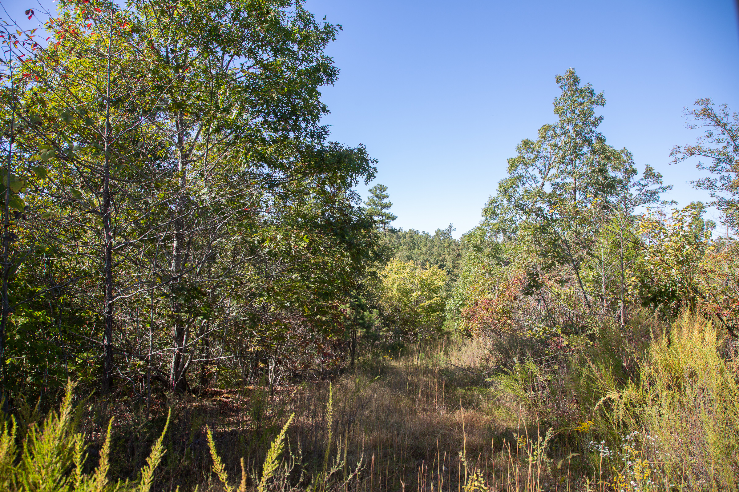 Tract 107 at Borgmanns Hollow Phase IV in Shannon County, Missouri
