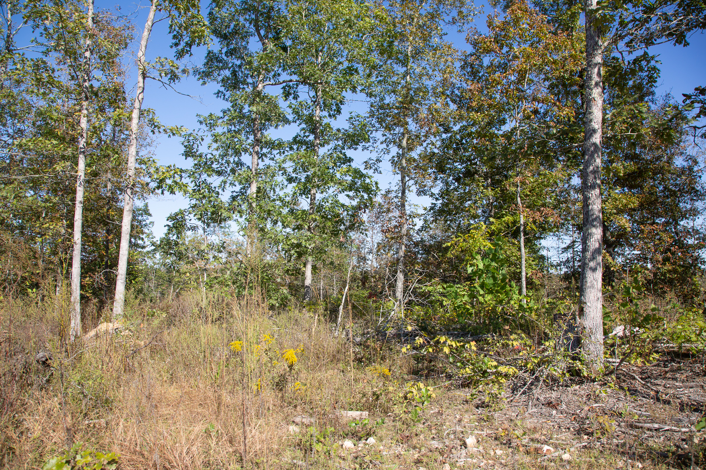 Tract 108 at Borgmanns Hollow Phase IV in Shannon County, Missouri