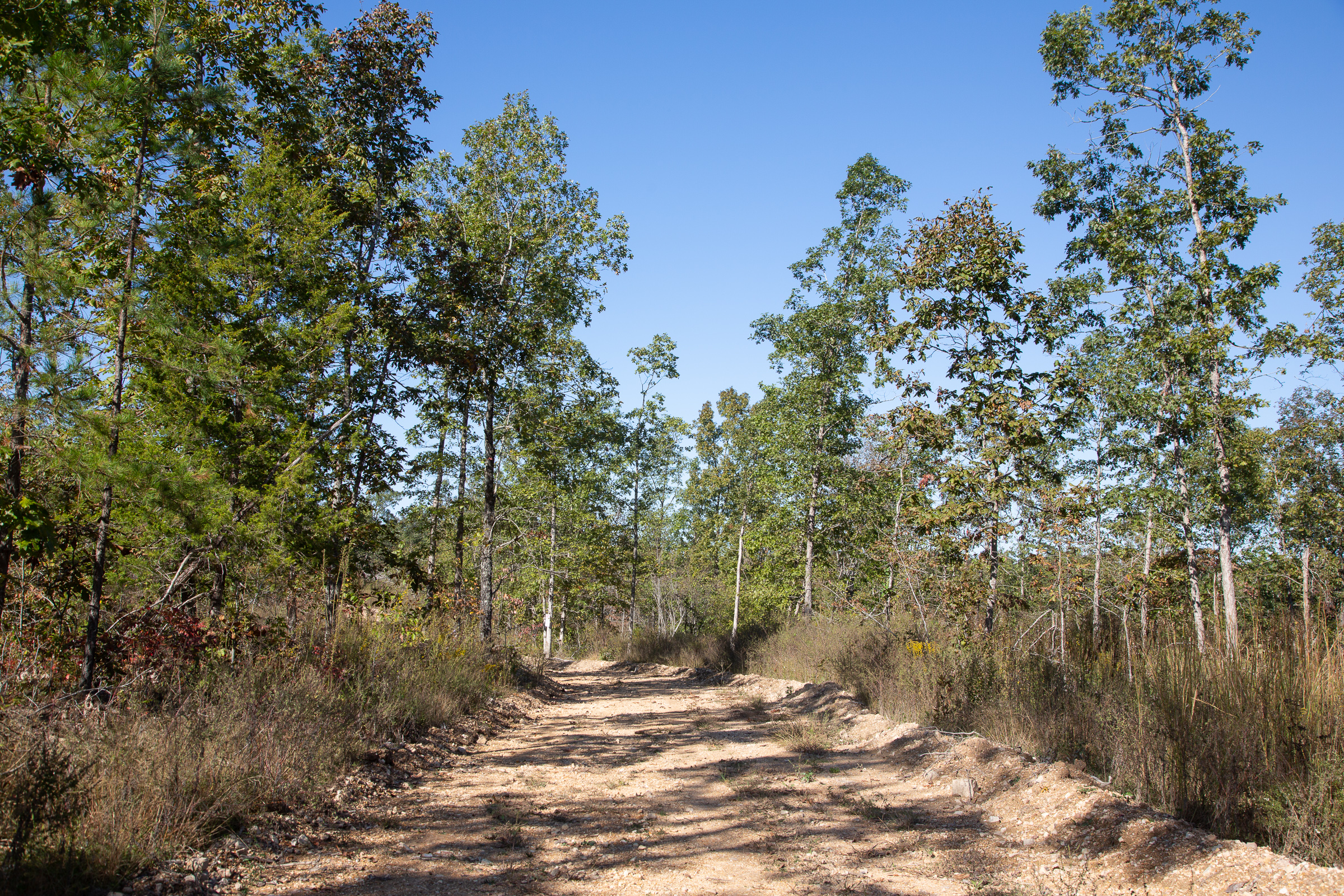 Tract 110 at Borgmanns Hollow Phase IV in Shannon County, Missouri