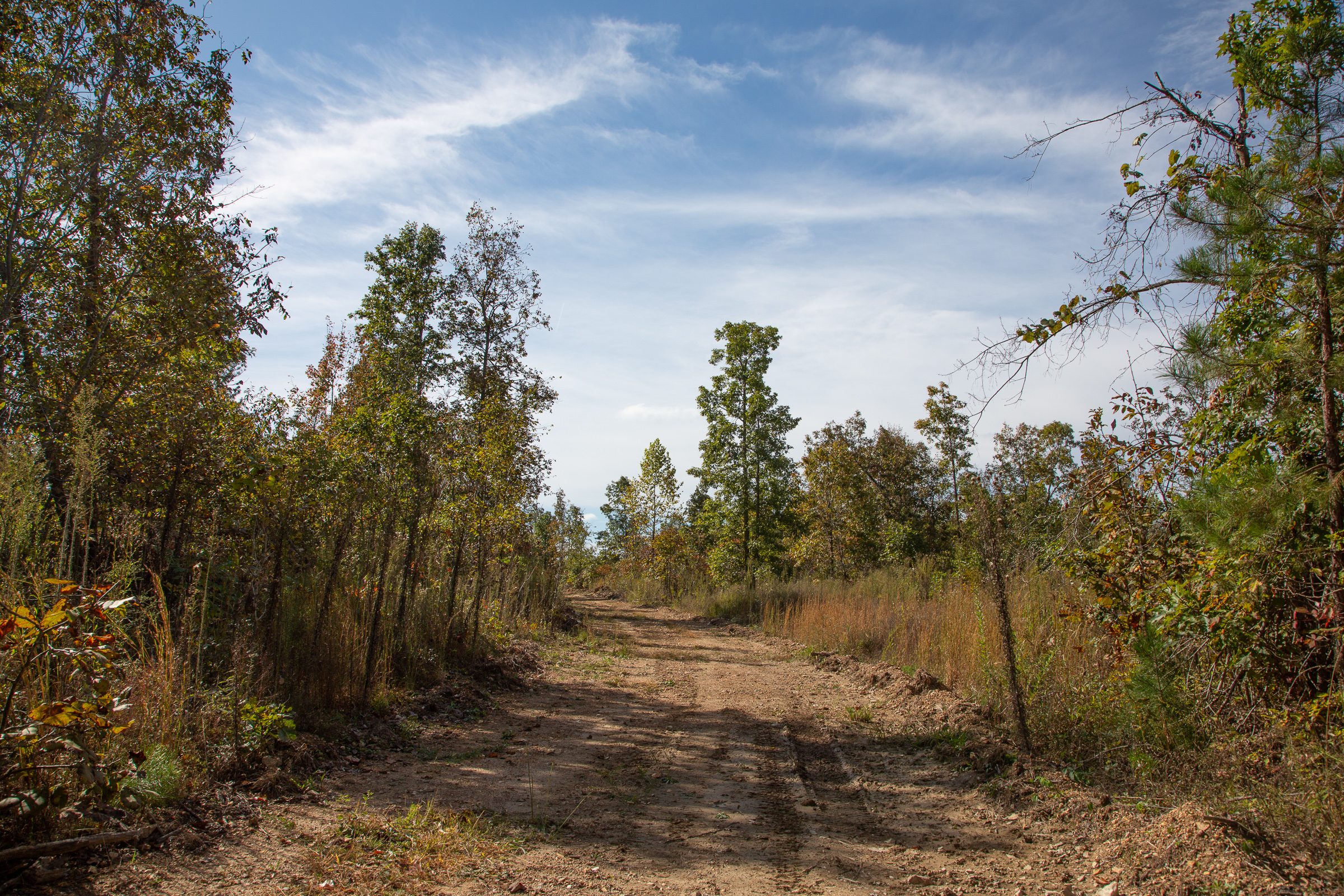 Tract 131 at Borgmanns Hollow Phase IV in Shannon County, Missouri